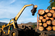 Holzlader lädt Baumstämme auf Holzanhänger